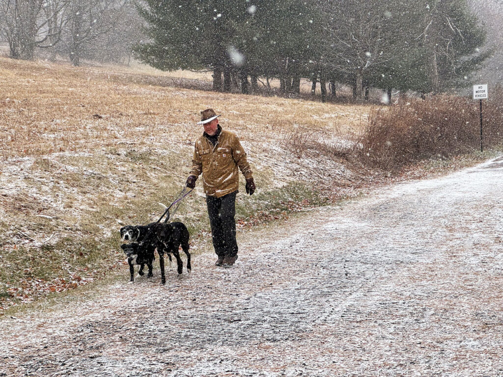 Three dogs on Farm Road, December 2024. Photo by Annik LaFarge, author of Composing Olana