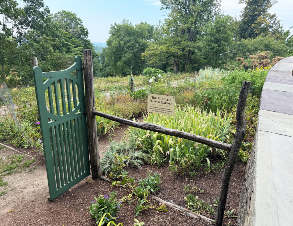 The Mingled Flower Garden in July 2025. Photo by Annik LaFarge, author of Composing Olana