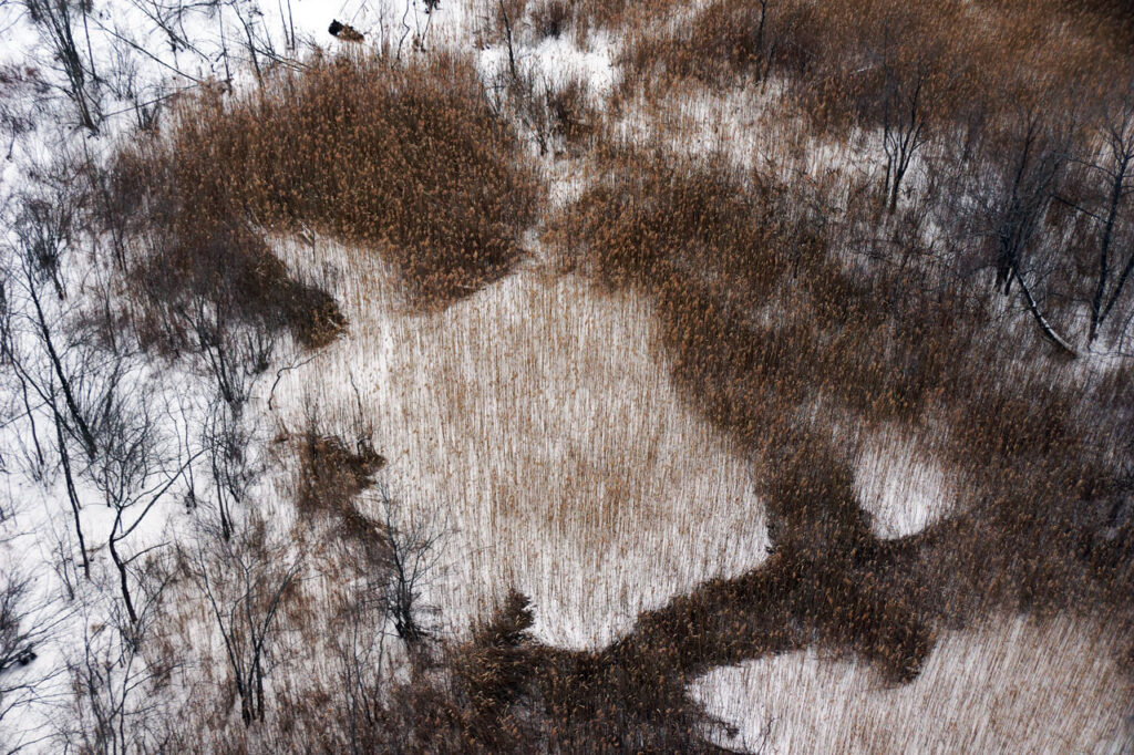 The marsh on Rogers Island, taken from above on the Rip Van Winkle Bridge, February 2014. Photo by Annik LaFarge, author of Composing Olana