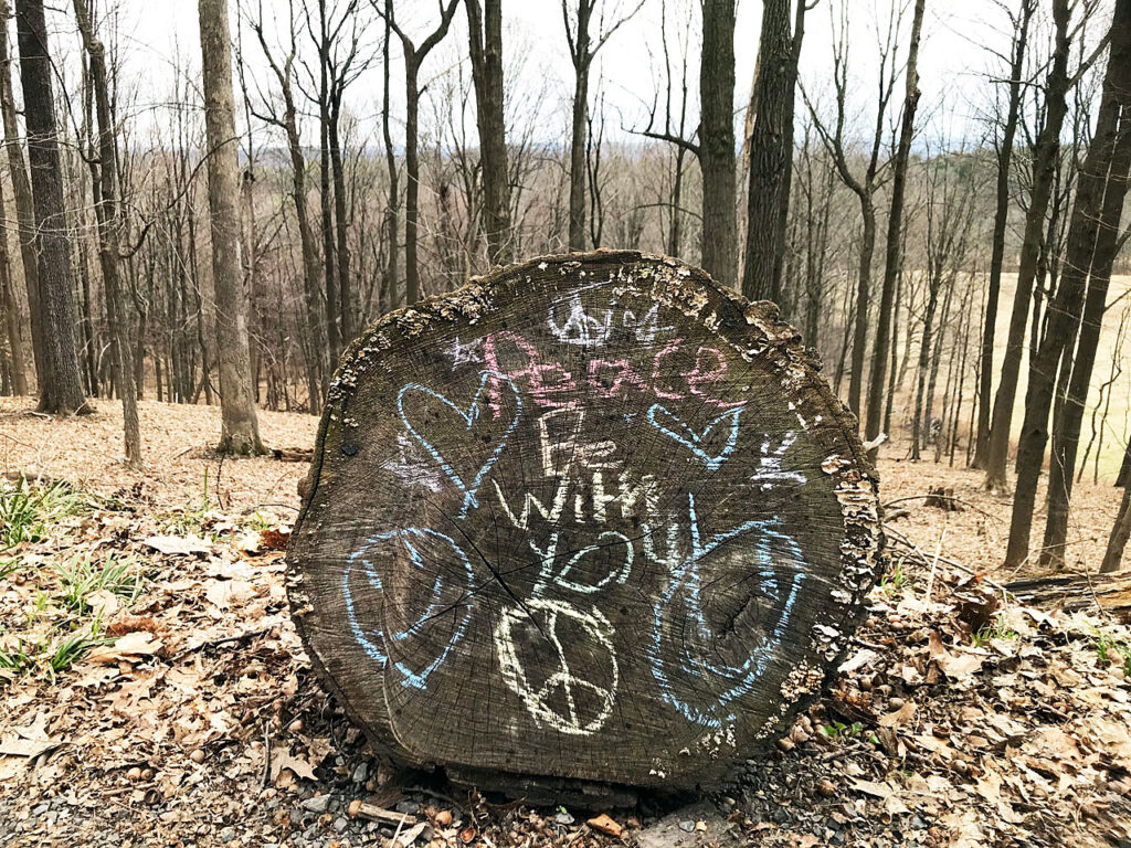 A long-dead tree stump, with graffiti, farm road, March 2020. Photo by Annik LaFarge, author of Composing Olana