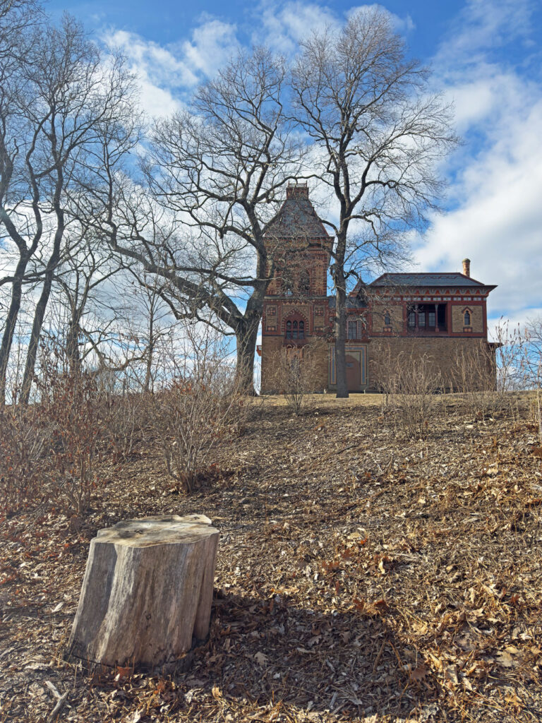 The stump of the eastern hemlock tree (Tsuga canadensis) that was planted by Frederic Church and died of natural causes in 2020, March 2025. Photo by Annik LaFarge, author of Composing Olana