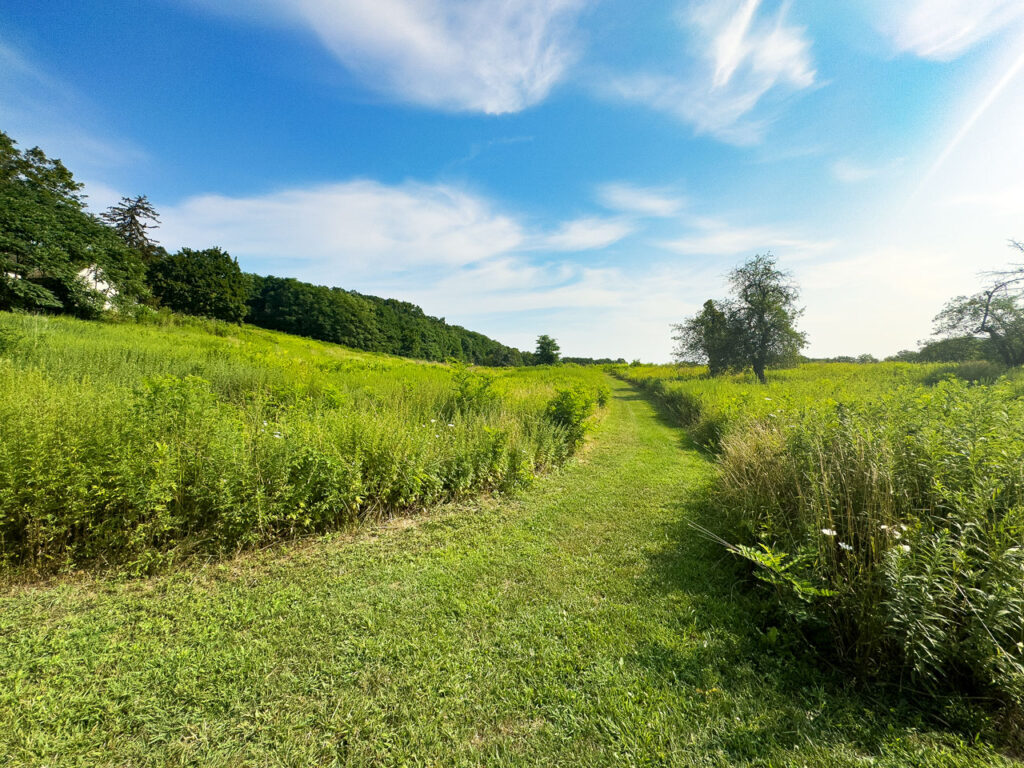 North Meadow, looking north from the Brezie Farm House foundation, with Cosy Cottage at right. Photo by Annik LaFarge, author of Composing Olana