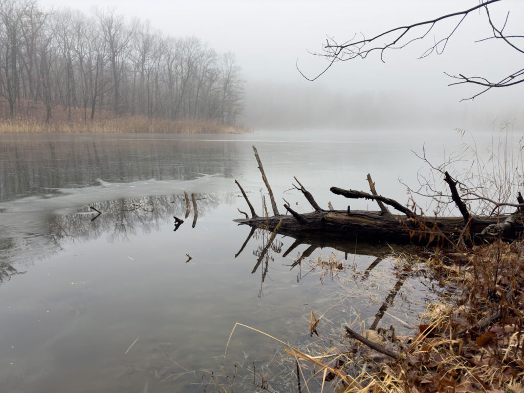 Olana Lake, New Year's Day, 2025. Photo by Annik LaFarge, author of Composing Olana