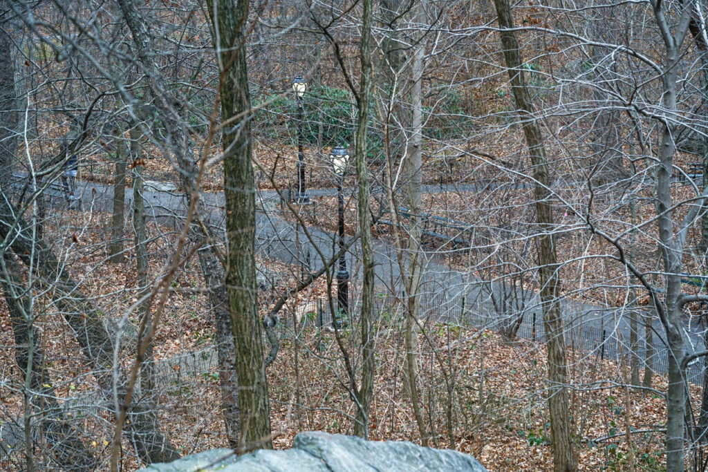 Converging paths in The Ramble, Central Park, December 2016. Photo by Annik LaFarge, author of Composing Olana