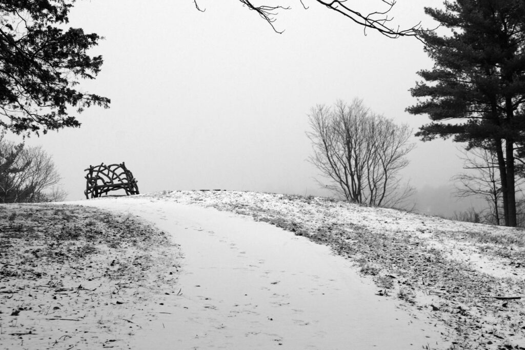 Rustic bench at the top of Crown Hill. Photo by Annik LaFarge, author of Composing Olana