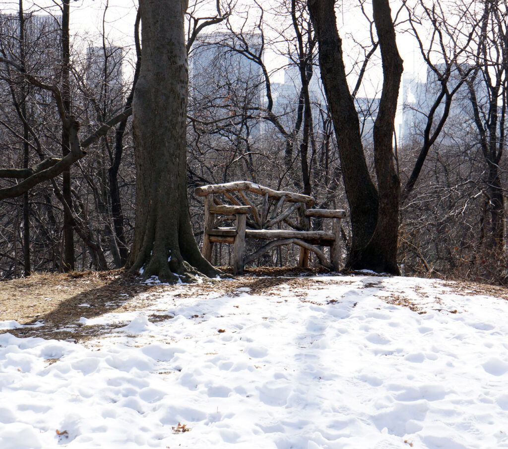 A rustic bench in The Ramble, Central Park, March 2014. Photo by Annik LaFarge, author of Composing Olana