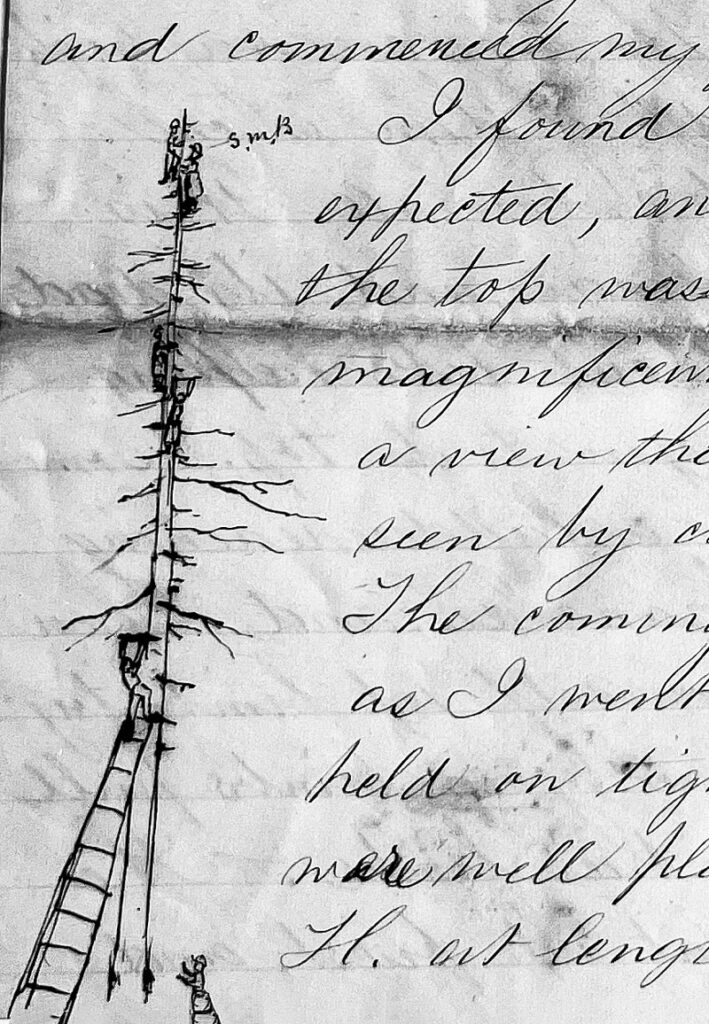 Susie M. Barstow’s drawing of women climbing a tree. Courtesy Ken Barstow