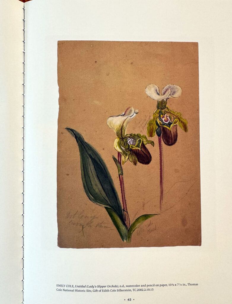 Emily Cole, "Untitled (Lady's-Slipper Orchids) from the beautiful book The Art of Emily Cole