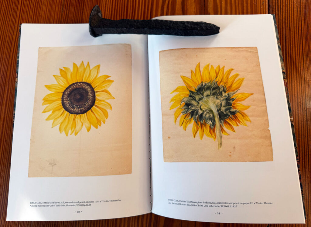 A spread from The Art of Emily Cole, showing her devotion to detail and faithfulness to the life of a plant
