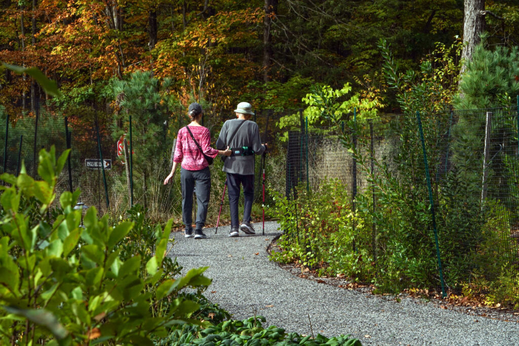 Even the ADA path at the Frederic Church Center has a gentle bend, reminding a visitor of Andrew Jackson Downing's design philosophy. Photo by Annik LaFarge, author of Composing Olana