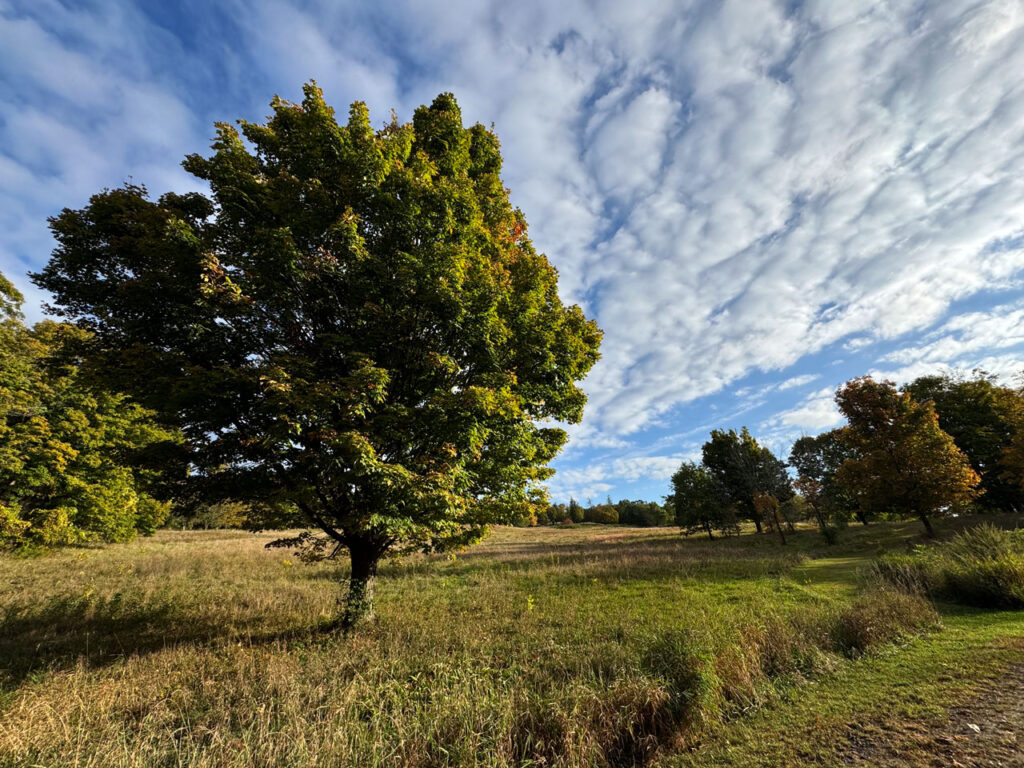 The Park, October 2024. Photo by Annik LaFarge, author of Composing Olana