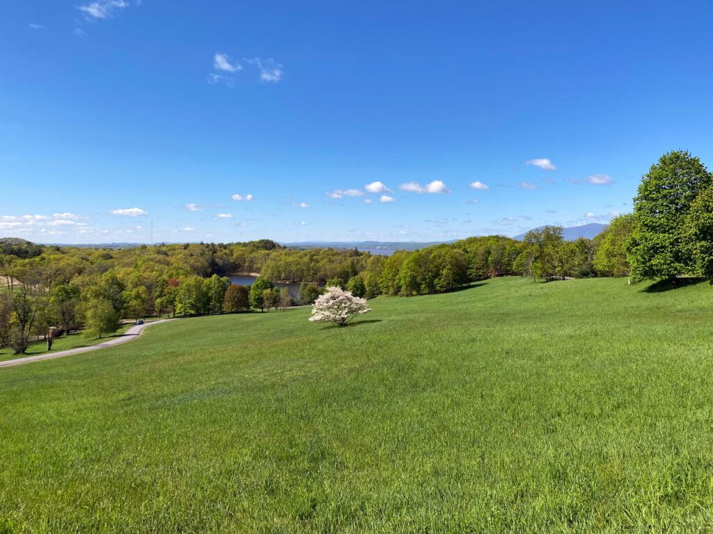 The Park and the author's favorite Dogwood tree, May 2021. Photo by Annik LaFarge, author of Composing Olana