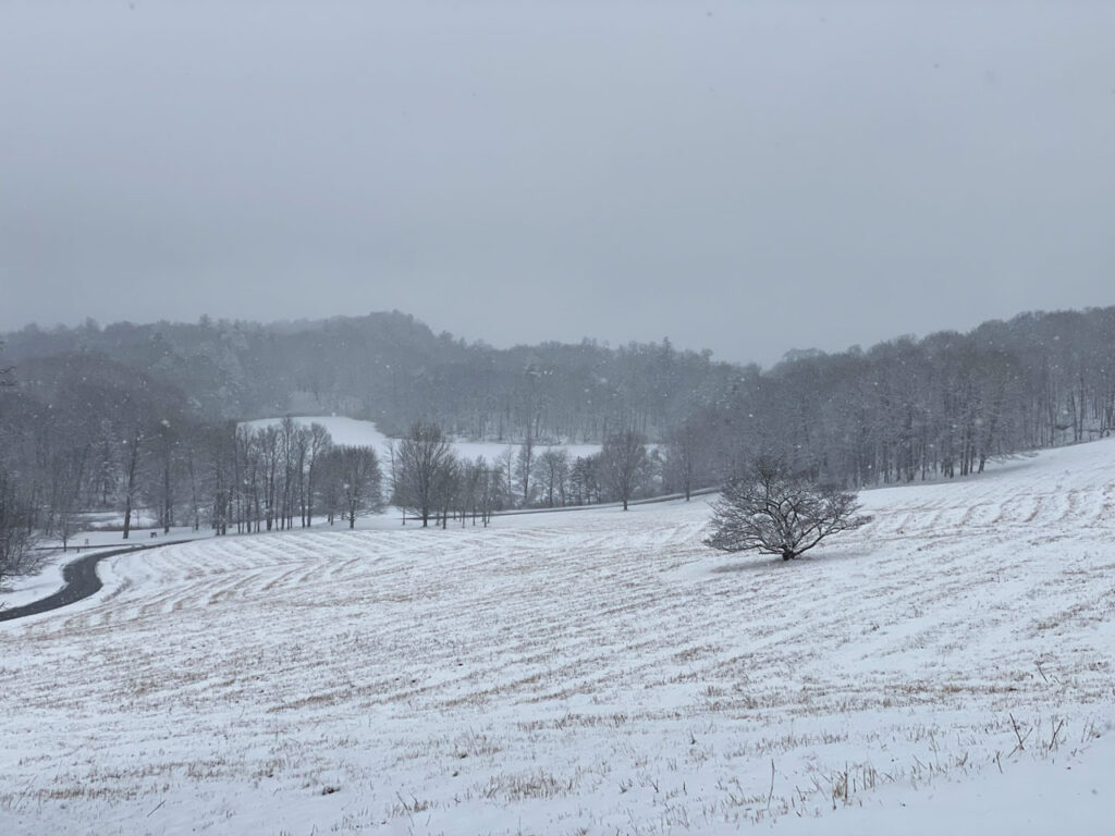 The Park and South Road, March 2022. Photo by Annik LaFarge, author of Composing Olana
