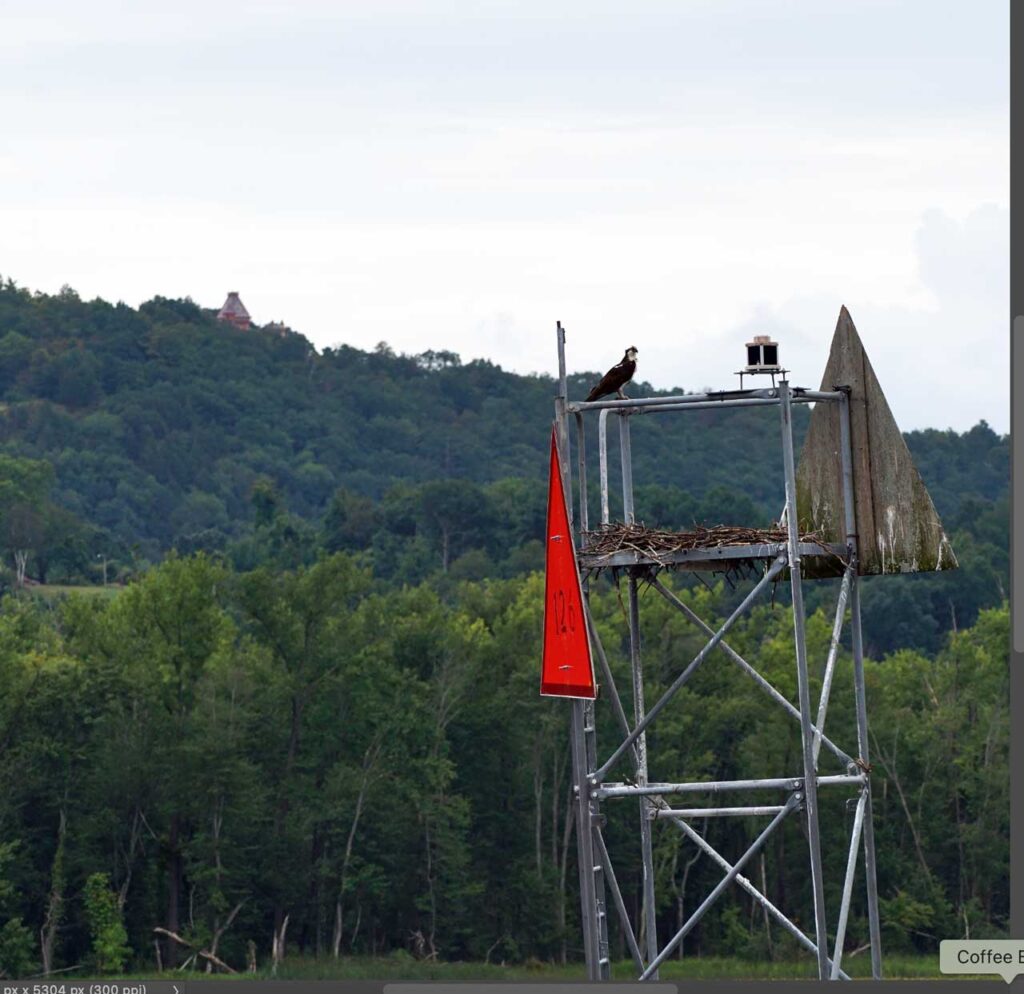 Photo by Annik LaFarge, author of Composing Olana